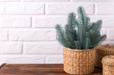 Beyaz duvar karşı ahşap arka plan ağaç dallarında kürk. Noel kompozisyon. Metin için yer.