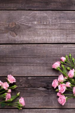 İhale pembe Gül çiçek ahşap arka plan üzerinde çerçevesinden. Çiçekli natürmort. Üstten Görünüm. Seçici odak. Metin için yer