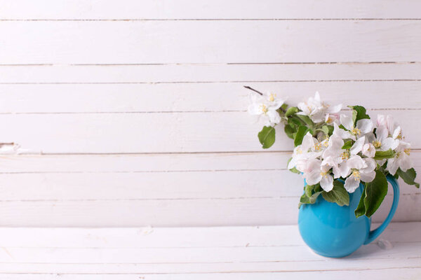 Tender apple tree flowers in blue pitcher  on white wooden background. Selective focus. Place for text