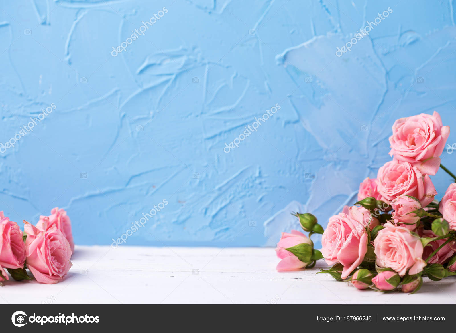 Border Pink Roses Flowers Light Blue Textured Background Floral