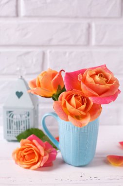 Çiçekli natürmort. Taze turuncu gül beyaz duvara karşı Beyaz ahşap zemin üzerinde mavi Kupası'nda. Metin için yer. 