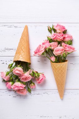 Taze pembe Gül Beyaz ahşap zemin üzerinde gözleme koniler çiçeklenir. Üstten Görünüm. Metin için yer.