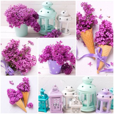 Bahar Menekşe leylak çiçeği ve ışık arka plan üzerinde pastel renk farklı fener ile kolaj. Bahar geliyor. Shabby chic. Seçici odak.