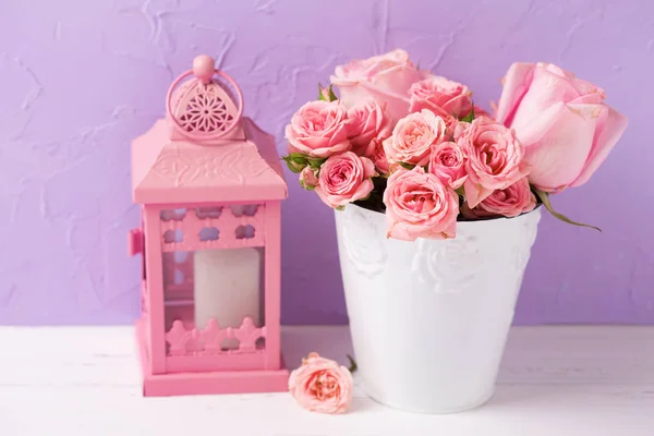 Розовые Розы Цветы Белый Горшок Розовый Декоративный Фонарь Против Фиолетовой — стоковое фото