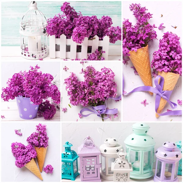 Colagem Com Flores Lilás Violeta Primavera Cor Pastel Diferentes Lanternas — Fotografia de Stock