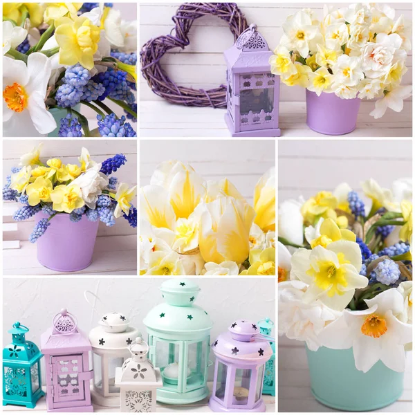 Collage Aus Fotos Mit Gelben Narzissen Und Tulpenblumen Dekorativen Herzen — Stockfoto