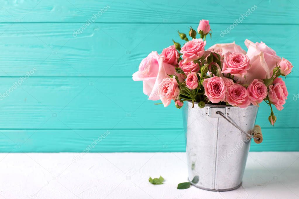 Bunch of tender pink roses flowers in pot  on  white wooden background against turquoise wall. Floral still life.  Selective focus. Place ffor text. 