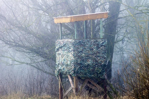 Siège Haut Dans Forêt Allemagne — Photo