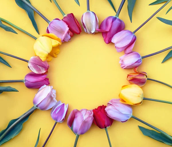 Round frame made of pink and yellow tulips, on a bright yellow background. Mothers day or Easter greeting card concept. Copy space for text