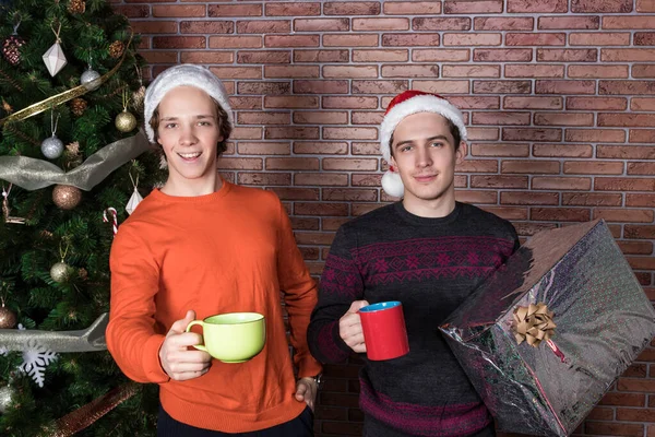 Dwóch zabawnych młodych mężczyzn świętujących Boże Narodzenie nad murem z cegły — Zdjęcie stockowe