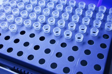 Mikro pipet için mavi plastik askıdaki Eppendorf tüpü: 0.01 ml