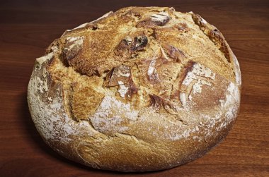 Apulian ekmeği. Altamura italyan ekmeği (pane pugliese)