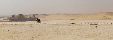 Sahra Çölü manzarası, kum, kum. Kahire, Mısır