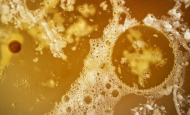 Soyut turuncu yuvarlak şekil. Doku ve arka plan. Makro resim. 