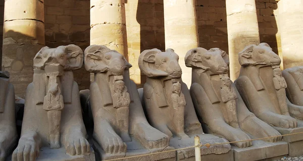 Antiguas Estatuas Carnero Templo Karnak Luxor Egipto — Foto de Stock