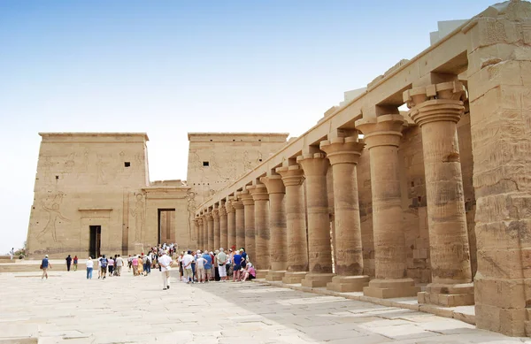 Рельєфи Стовпи Храму Файл Асуан Єгипет — стокове фото