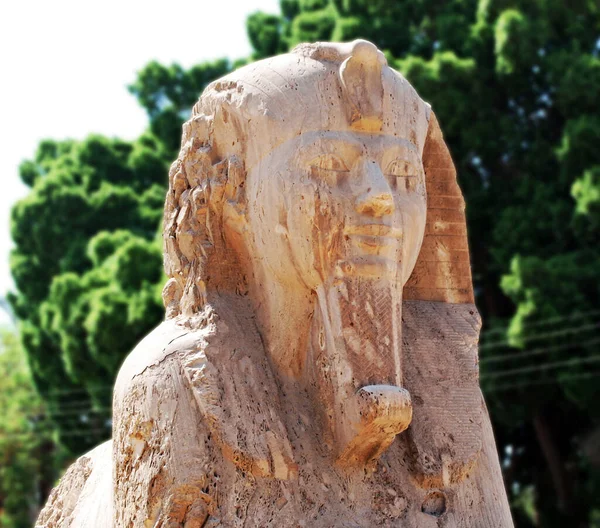 Estátua Alabastro Esfinge Egito Fechar — Fotografia de Stock