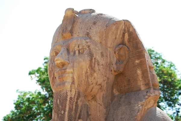 Statue Einer Alabaster Sphinx Ägypten Nahaufnahme — Stockfoto