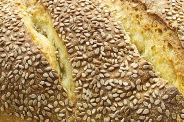 Traditional Loaf Sicilian Bread Sesame Closeup — Stock Photo, Image