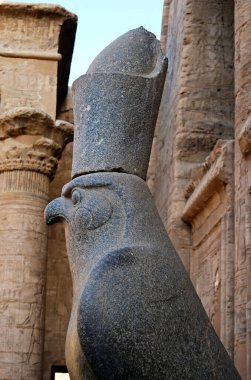 Edfu Tapınağı 'ndaki Antik Mısır şahin tanrısı Horus heykeli. Nubia, Mısır