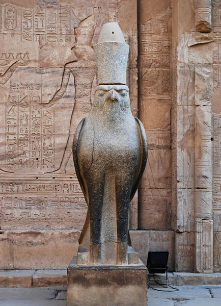 Edfu Tapınağı Ndaki Antik Mısır Şahin Tanrısı Horus Heykeli Nubia — Stok fotoğraf