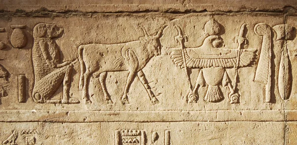 Mısır Daki Hedfu Tapınağı Nda Antik Eserler Hiyeroglifler — Stok fotoğraf
