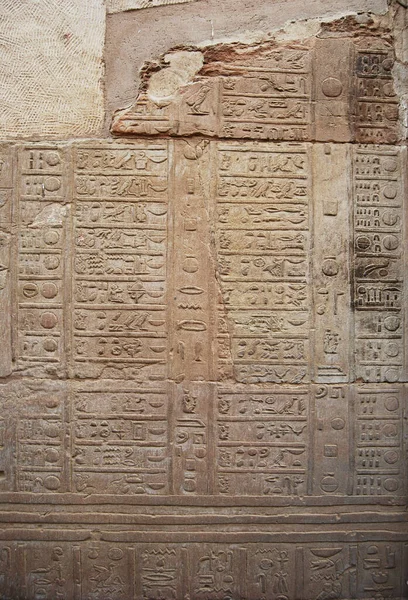 Hiéroglyphe Ancien Relief Dans Temple Egypte — Photo