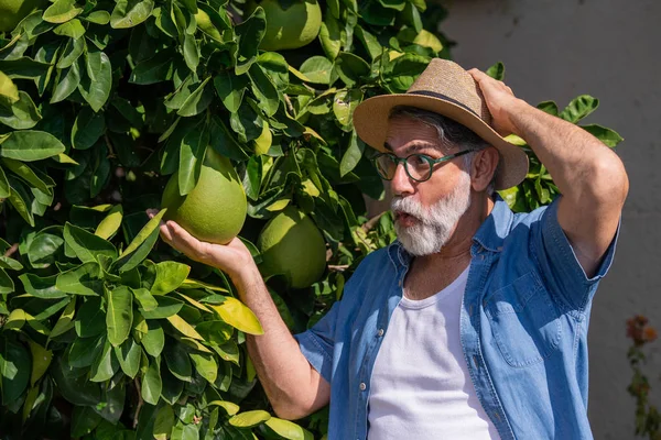 farmer standing near a pomelo tree with a funny look and raised hands