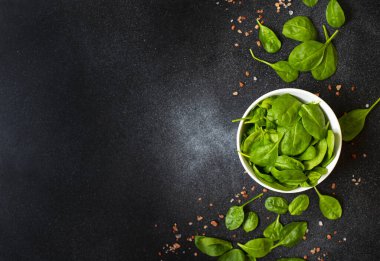 Siyah arkaplanda taze yeşil fesleğen yaprakları 