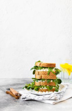 Açık gri bir masa ve beyaz arka planda, ricotta ve roka ile servis edilen sağlıklı bir sandviç. Sağlıklı kahvaltı. Yakın plan. Boşluğu kopyala