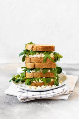 Açık gri bir masa ve beyaz arka planda, ricotta ve roka ile servis edilen sağlıklı bir sandviç. Sağlıklı kahvaltı. Yakın plan. Boşluğu kopyala