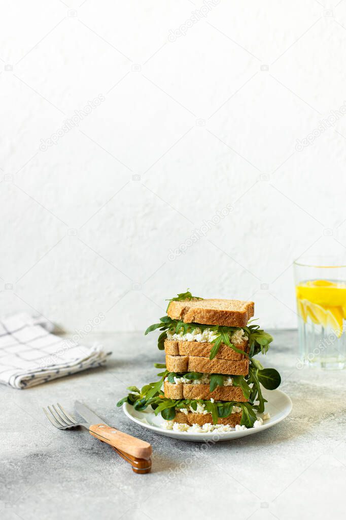 Healthy sandwich with ricotta and arugula served on a light gray table and white background. Healthy breakfast. Close-up. Copy space