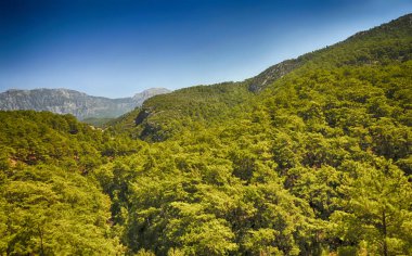 Kalmak için harika bir yer
