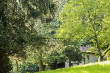 Ormandaki yazlık evde Mucizeler Yolu üzerinde, Canton Ticino