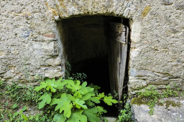 Puerta Vieja Que Conduce Las Bodegas Desuso Sótanos —  Fotos de Stock