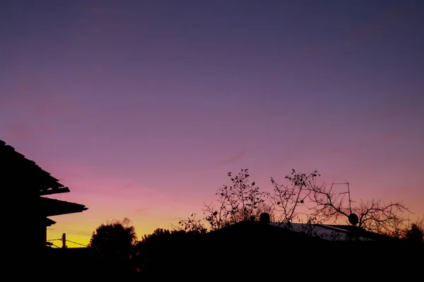 Восход Солнца Разноцветным Небом Пейзажем Между Ящиками Ветвями Деревьев — стоковое фото