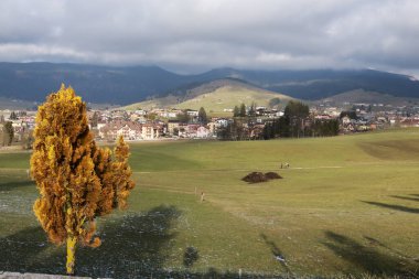Beautiful panoramic view of the meadows, the red colored trees and the Asiago plateau from the military shrine of Asiago, travel and landscapes in Veneto clipart