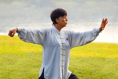 Tai Chi Chuan bir parkta insanların pratik