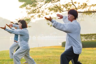 Tai Chi Chuan bir parkta insanların pratik