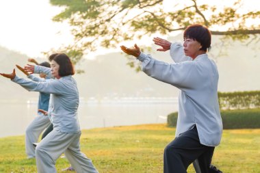 people practice Tai Chi Chuan in a park clipart