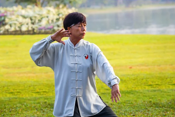 Kelompok orang tak dikenal berlatih Tai Chi Chuan di taman — Stok Foto