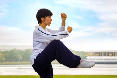 Tai Chi Chuan bir parkta insanların pratik