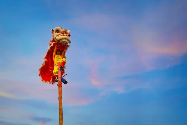 Dança do Leão em uma celebração de Ano Novo Chinês — Fotografia de Stock