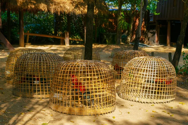 Casa tradicional tailandesa en zona rural — Foto de Stock