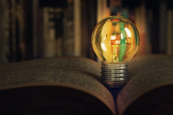 Una bombilla colocada en un libro abierto — Foto de Stock