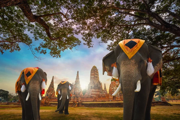 Templo de Wat Chaiwatthanaram no Parque Histórico de Ayutthaya, um patrimônio mundial da UNESCO na Tailândia — Fotografia de Stock