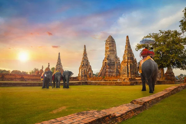 在教科文组织世界遗产，泰国大城府历史公园的纳兰寺游客骑大象 — 图库照片