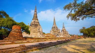 Wat Phra Si Sanphet tapınakta Ayutthaya Historical Park, Unesco Dünya Mirası alanı, Tayland