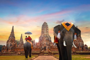Elephant at Wat Chaiwatthanaram temple in Ayuthaya Historical Park, a UNESCO world heritage site, Thailand clipart