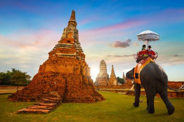 Ayuthaya Historical Park, Unesco Dünya Mirası Tayland Wat Chaiwatthanaram tapınağında fil ile turizm